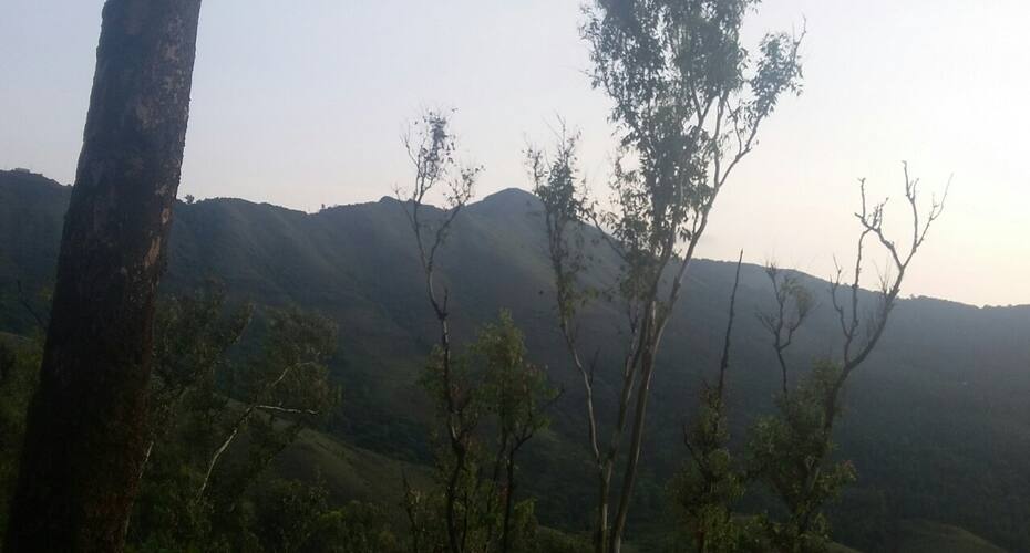 Green Rose Home stay , QHALANDARi Khizer Coffee Estate, Chikmaglur 2